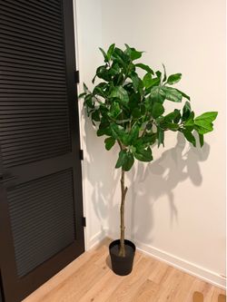 Modern plant decor