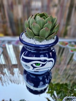 Seahawks Succulent Planter Handmade 💙🌵