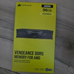 96 gigs (48x2) 6000MHz DDR5 MEMORY FOR AMD
