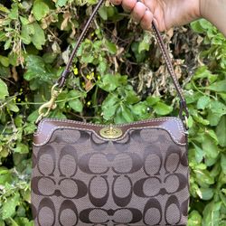 Brown Coach Bag