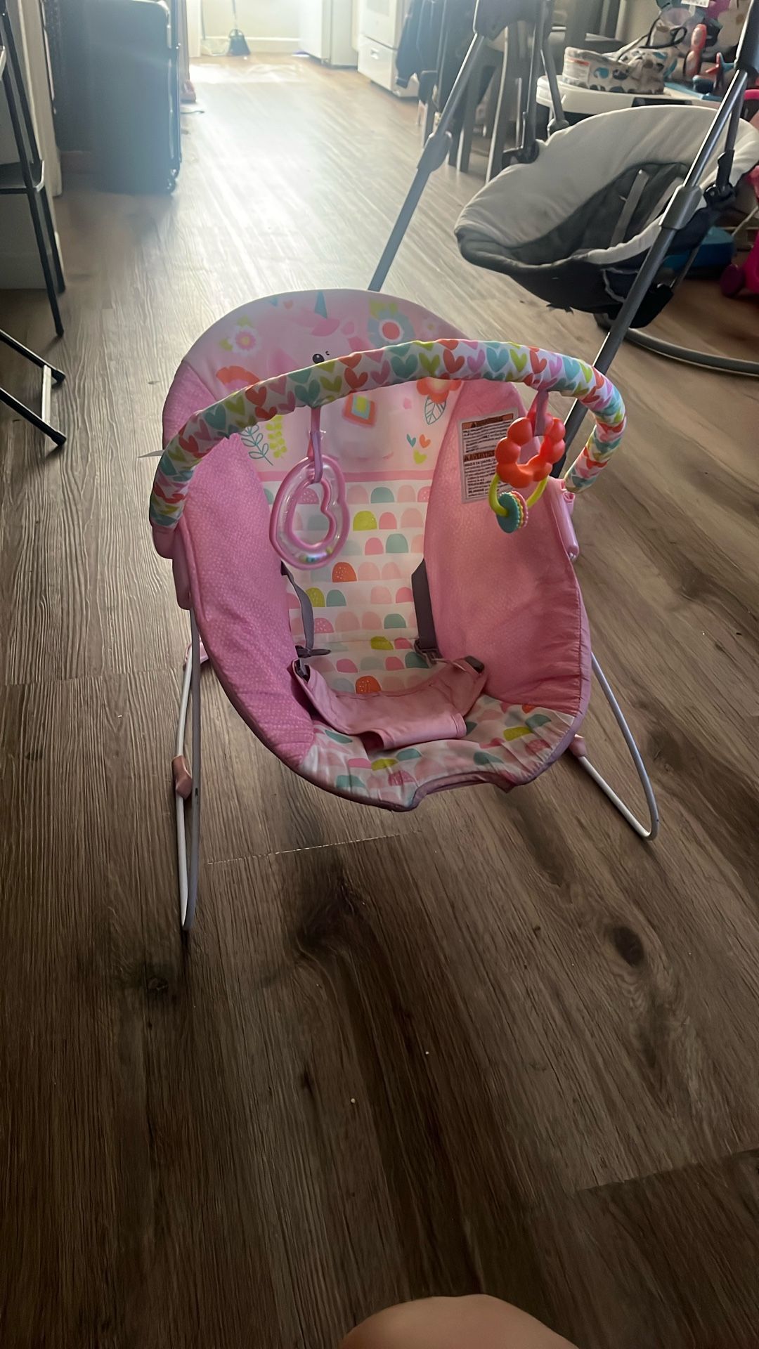 Baby Bouncer