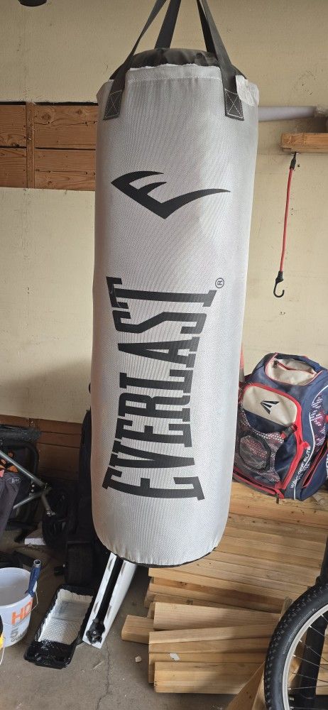 Everlasting Punching Bag New