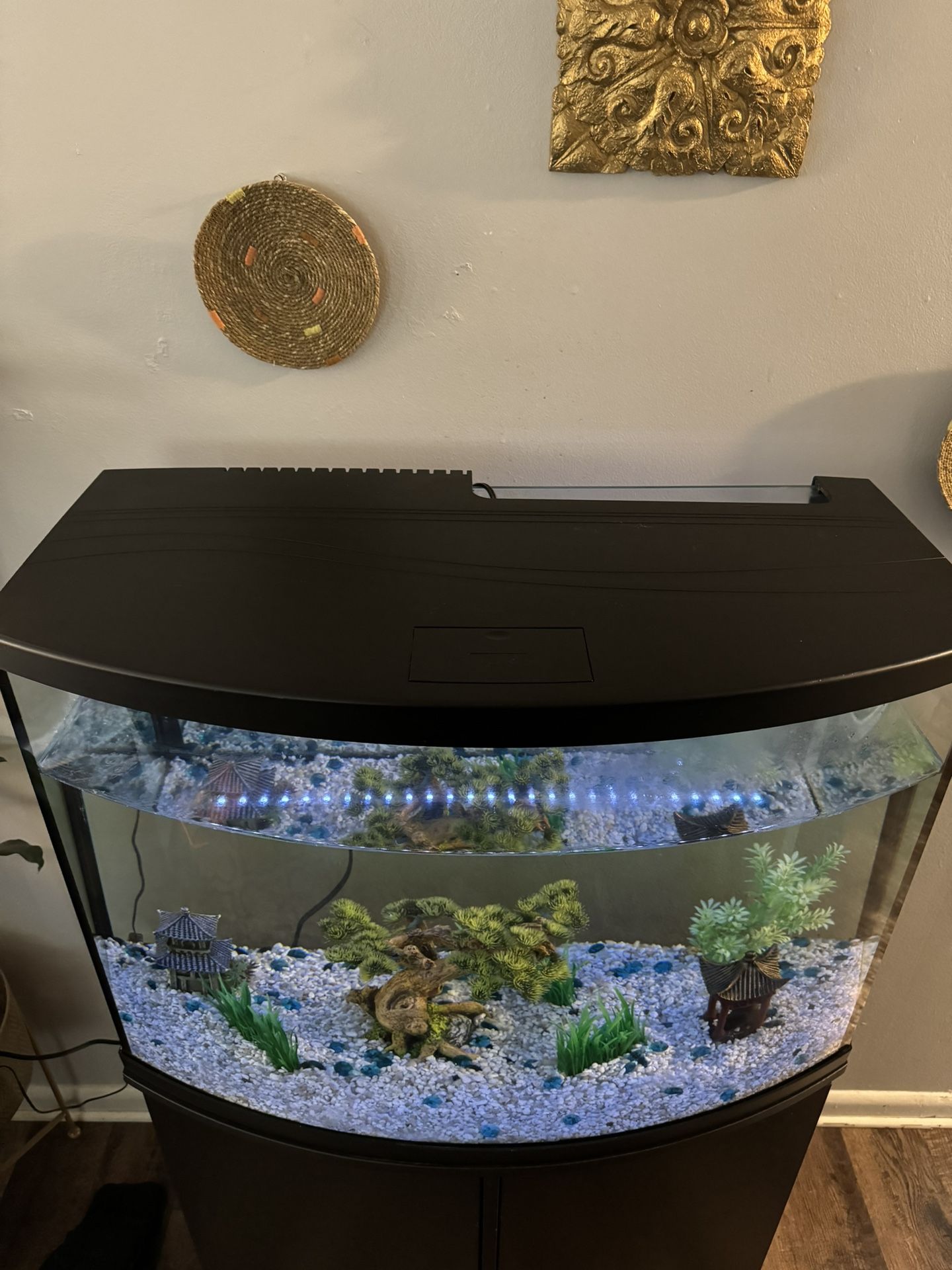 36 Gallon PetSmart Fish Tank