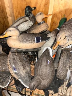 Duck decoys
