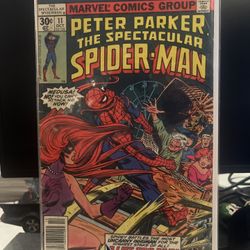 Spectacular Spider-Man #11