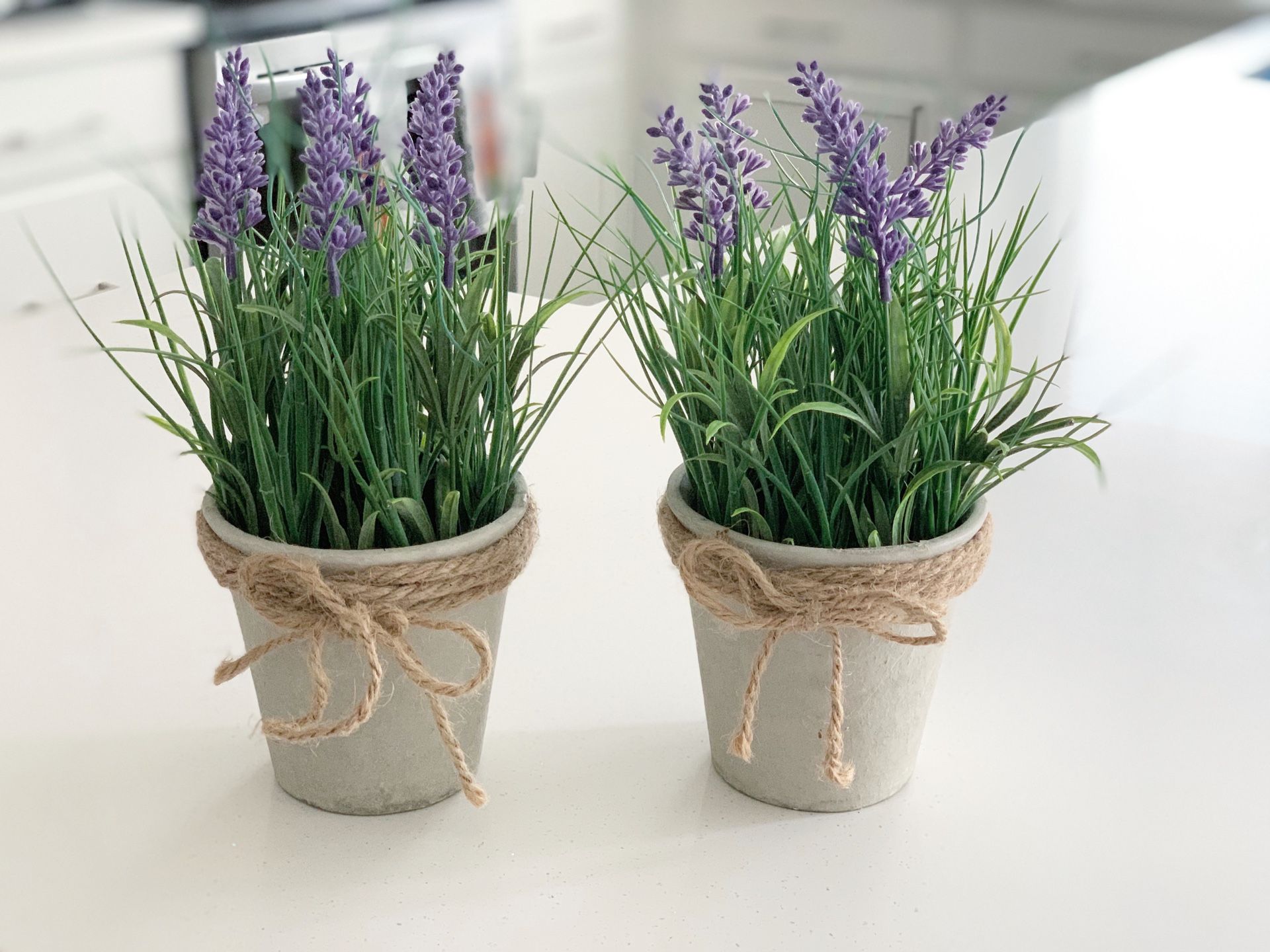 (2) Artificial lavender plants