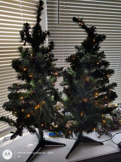 2, 4ft Christmas trees