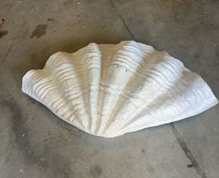 Fiberglass clamshell over 24 inches wide