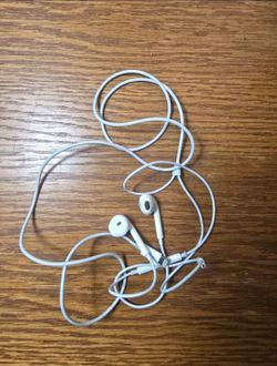 Apple earpods/earbuds