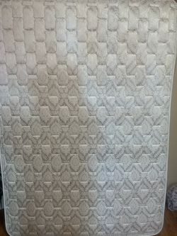 Free Size FULL Santa Maria 