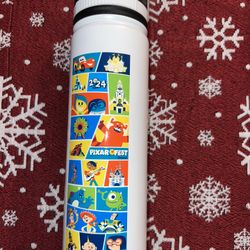 Disney Pixar Fest Water Bottle