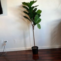 Artificial Plant 