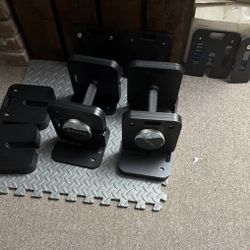 Eisenlink Adjustable Dumbbells 