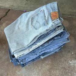 Levi Bundle