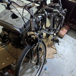 Free Schwinn Road Bike