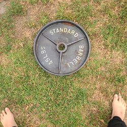 45 Pound Barbell Wejghts