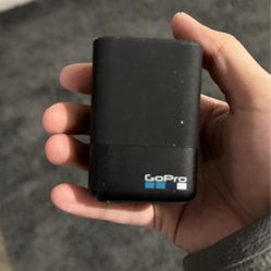 GoPro Dual Battery charging station 