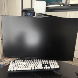 Computer monitor and Webcam