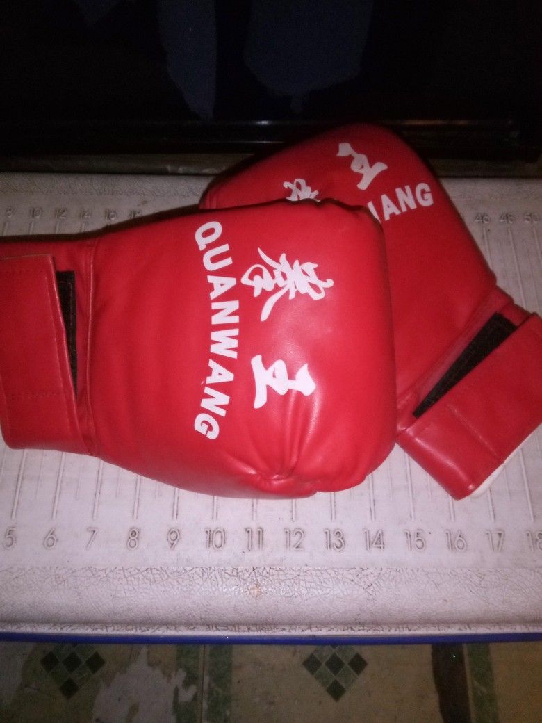 Punching Bag Gloves 