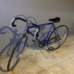 Classic Schwinn Sprint Bike