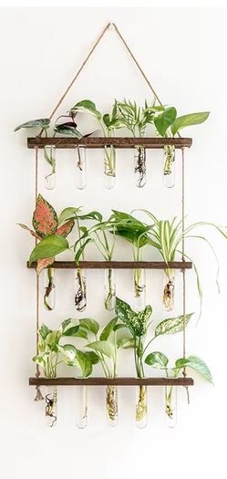 Wooden Hanging Indoor Plant Decoration