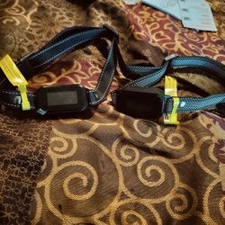 2 Brand New Smart Dog Collars