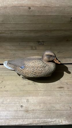 Plastic decoy duck.
