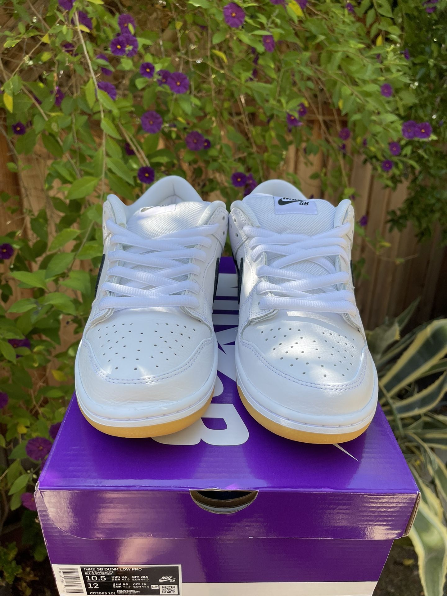 Gum Sole All White Nike Sb Dunk Nike SB Dunk Low Pro White Gum