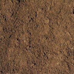 Screened Loam Topsoil