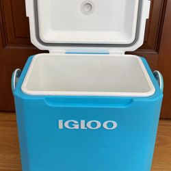Blue Igloo Cooler