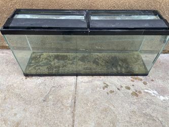 FREE 55 gallon lizard tank