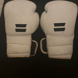 White Boxing Gloves 