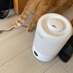humidifier 1 year old 
