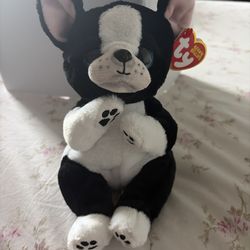 Beanie Bellies puppy