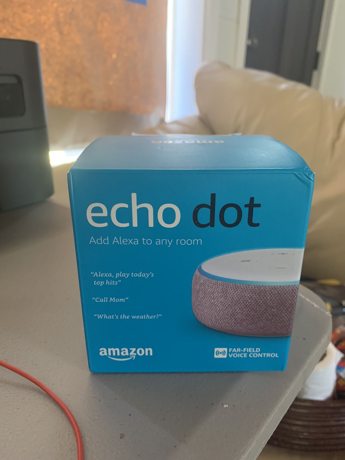 Free Echo dot