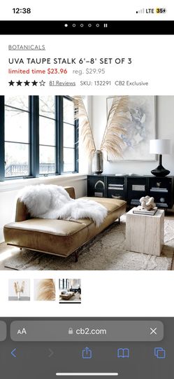 Uva Dried bleached Ivory Stalk 3 piece entryway Statement Piece