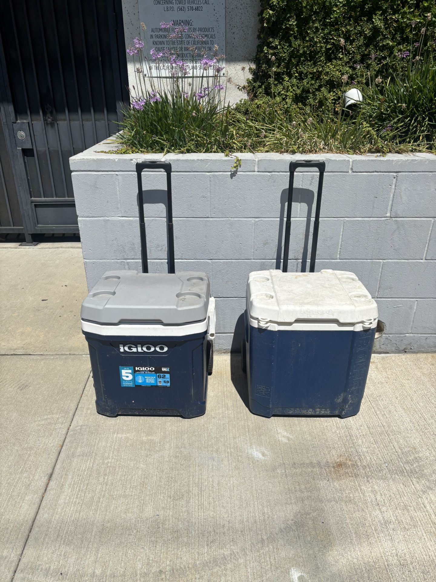 Two Rolling Coolers