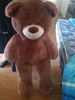 Big teddy bear $10