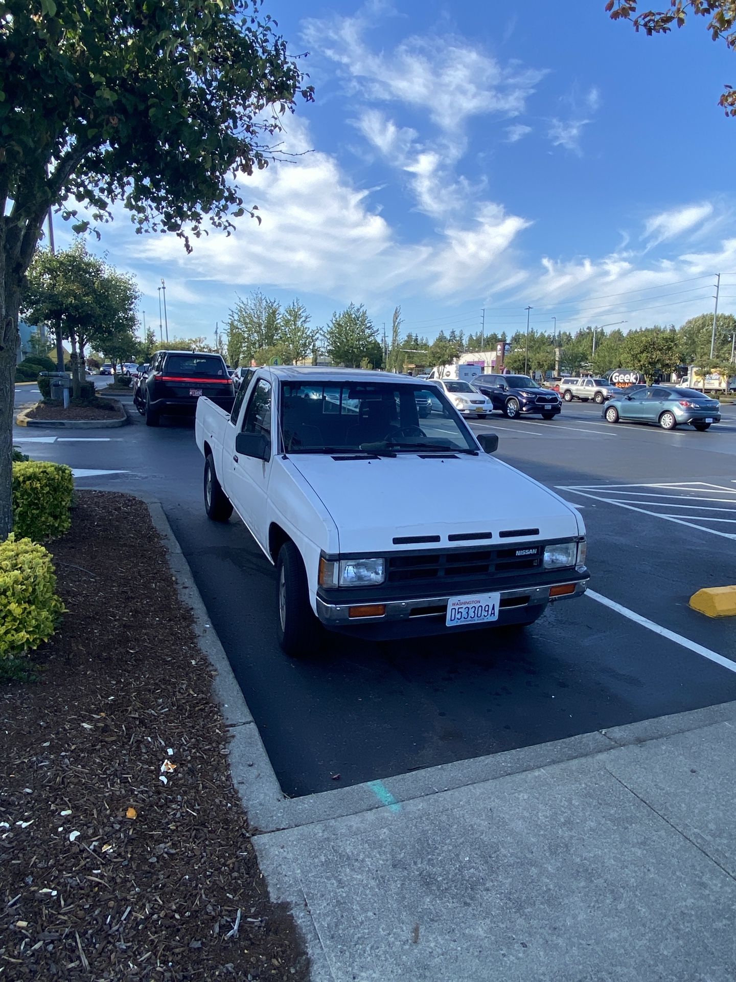 1989 Nissan Pickup