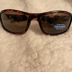 NWT Polarized Sunglasses