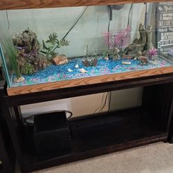 Fish Tank And All Accessories ( Not The Speakers)