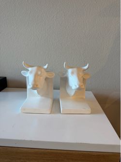 Book ends book shelf