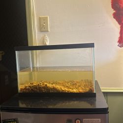 5 Gallon fish tank and decoration
