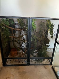 reptile tank
