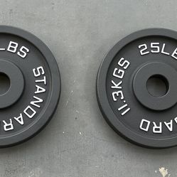25lb Plates ( Cast Iron)