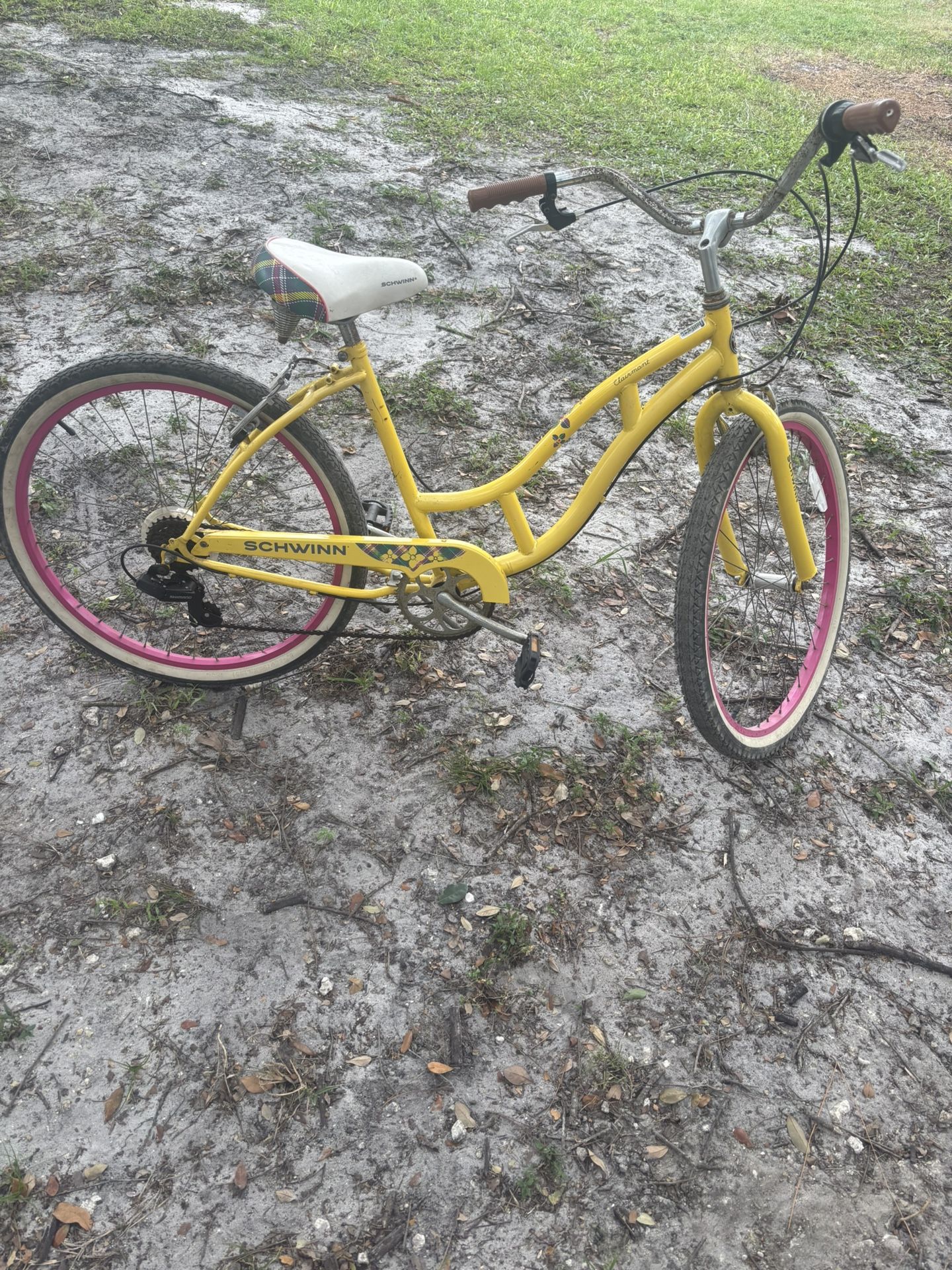 7 Speed Ladies Cruiser