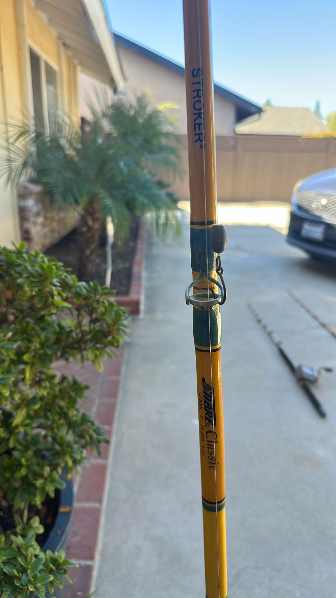 Fishing Pole And Reel