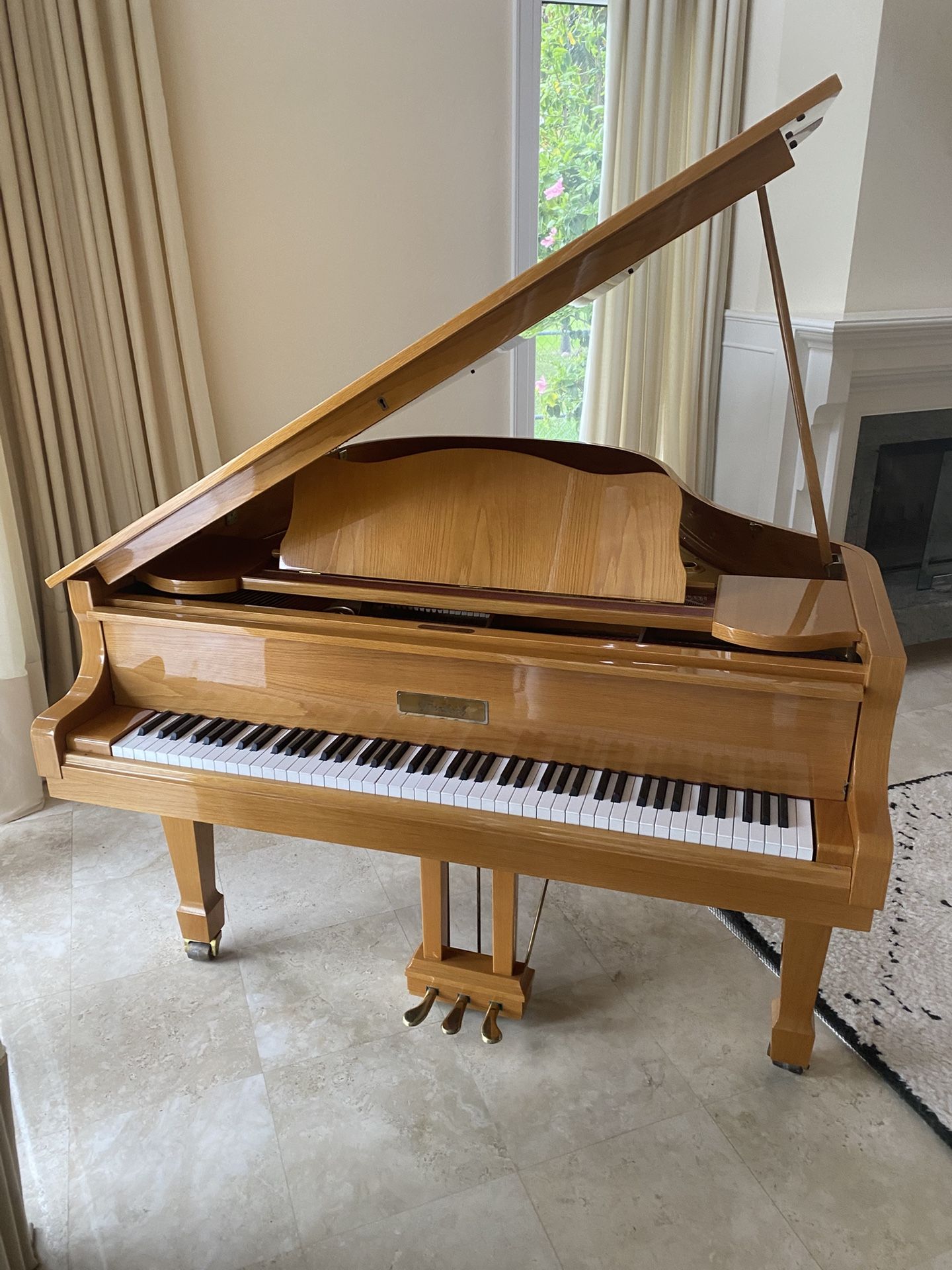 Baby Grand Piano 