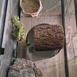 Terrarium For Reptile