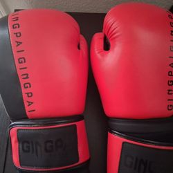 Gingpai Boxing Gloves -$20
